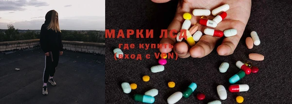 гашик Новозыбков