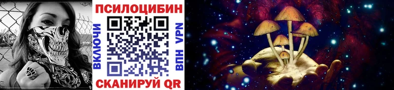 Псилоцибиновые грибы прущие грибы Агрыз